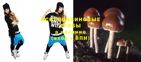 прущая мука Аркадак