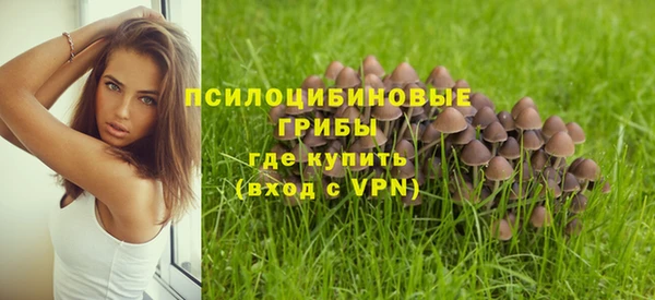 мдпв Ростов