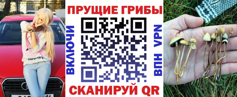 Псилоцибиновые грибы ЛСД Калтан