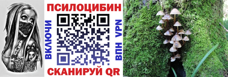 продажа наркотиков  Калтан  Галлюциногенные грибы MAGIC MUSHROOMS 